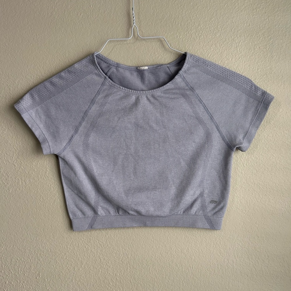 Naked Zebra Gray Boxy Crop T-Shirt